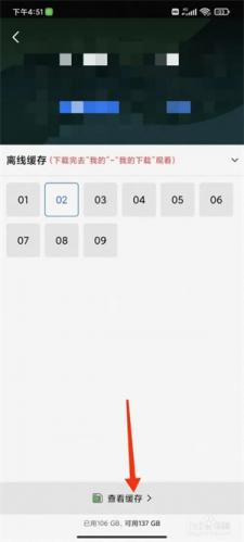 蓝狐影视app